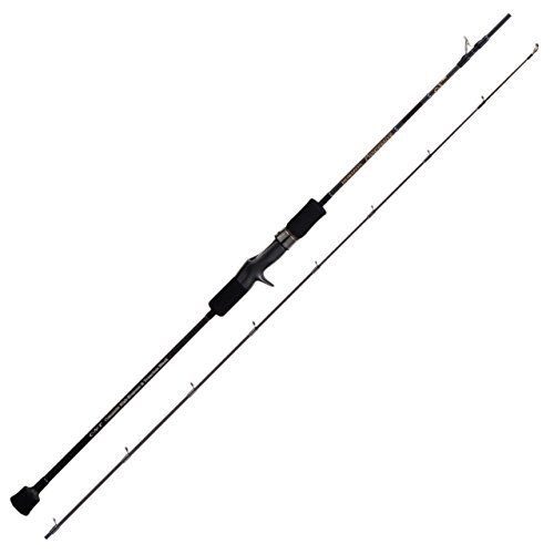 TENRYU Baitcasting Rod HORIZON Progressive HPG66B-MH | eBay TENRYU Baitcasting Rod HORIZON Progressive HPG66B-MH | eBay