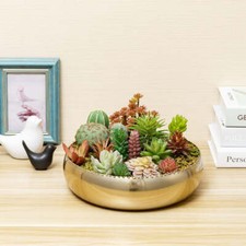 11-inch Brass Toned Metal Planter Pot with Pebbled Rim, Shallow Succulent Bowl