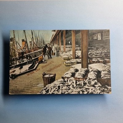 Aberdeen Fischmarkt Postkarte 1904 Schottland Boote fangen