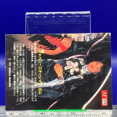 Manami Toyota BBM Women's Pro Wrestling Card TCG Vintage Japanese