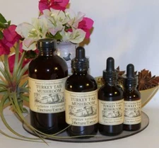 TURKEY TAIL MUSHROOM Extract Fungi Immunity Longevity TCM ORGANIC FOLK TINCTURE