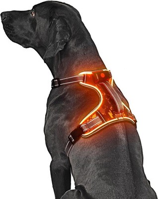 Light-Up Orange LED Dog Harness  Rechargeable No-Pull Vest for Night Walking
