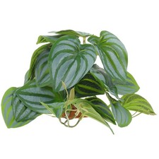  Accessori Per Rettili Piante Finte Sfondo Del Terrario Acquatiche Artificiali