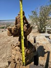 Hand Carved Wood Statue St. George Burlwood Base Missing Spear/staff  — photo 2