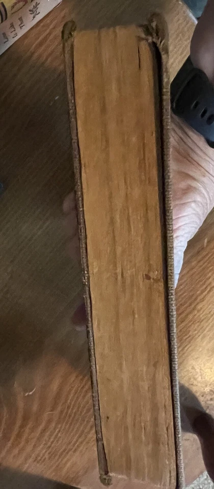 The Pest Albert Payton Terhune 1923 Hardcover Foto 4 de 4