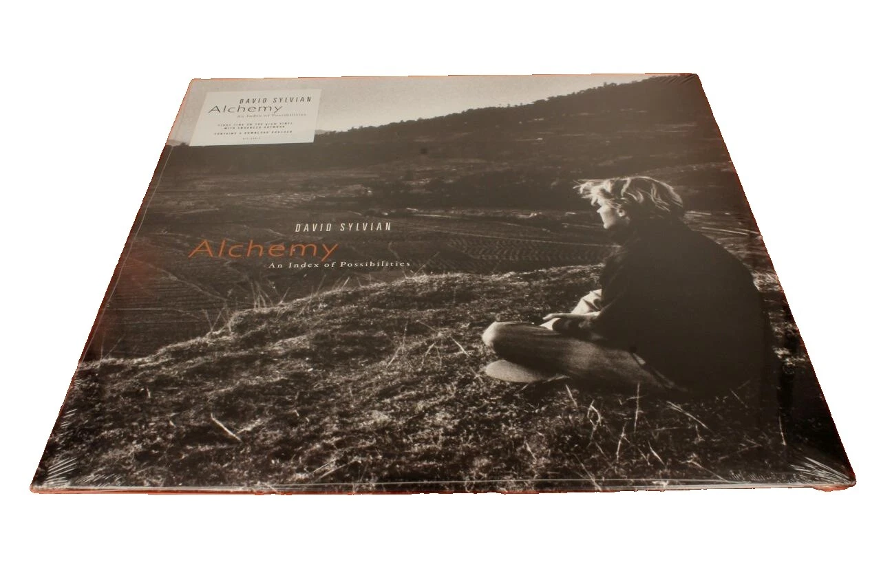 Дэвид Сильвиан Рок виниловые пластинки