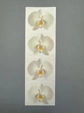 Mrs. Grossman's Stickers | FLOWERS WHITE ORCHIDS | Retired ‘98 Creative Memories