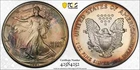 1991 PCGS MS67 American Silver Eagle ASE, $1 Dual Sided Rainbow Toned, TrueView!