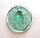 Blenko Handmade Glass Cicada Suncatcher Ornament mint green Signed 2021