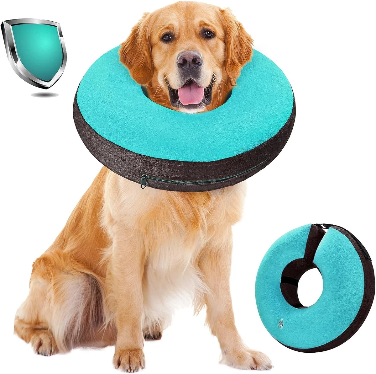 E collars for dogs after surgery 2025