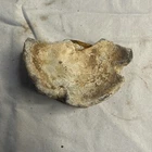 Civil War Dyer Shell Artillery Base Fired Relic