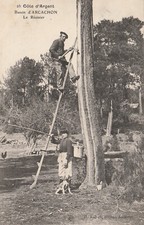 33  CPA ARCACHON N°26 Le Résinier