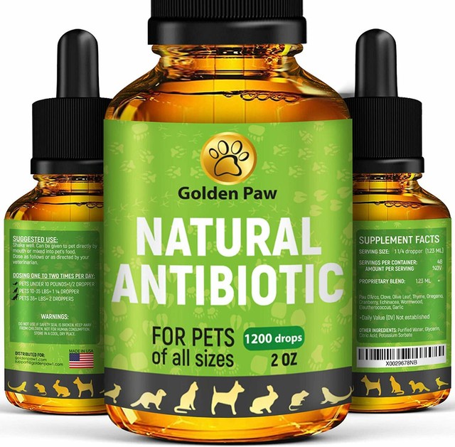 Natural Antibiotic for Dogs Immune System Booster for Dogs Kennel