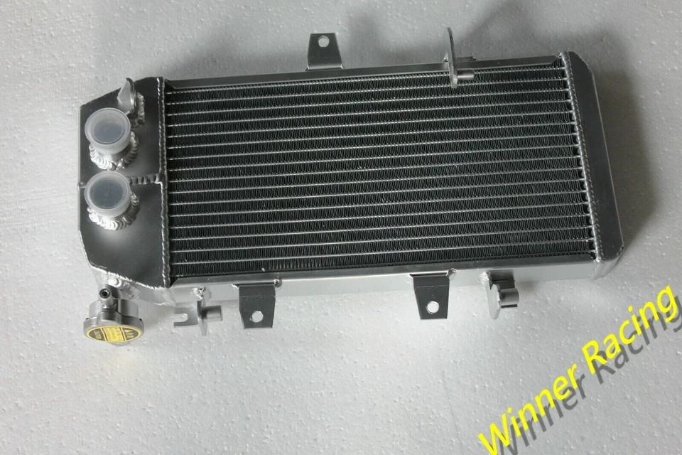 Radiador de aluminio sin termostato incorporado para BMW F650GS F700GS F800R/S/ST Foto 3 de 4