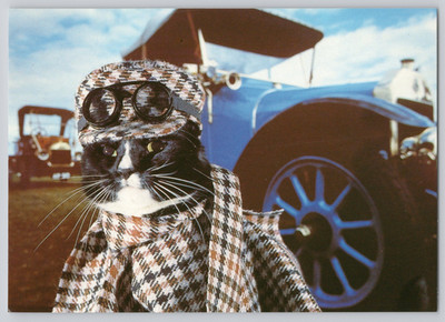 Postcard Cat Driving Car Goggles Coat Road Mog Cat Empire London