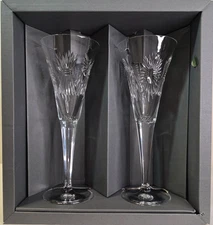 Waterford The Universal Wishes Collection Toasting Flutes Set Of 2 Germany Used