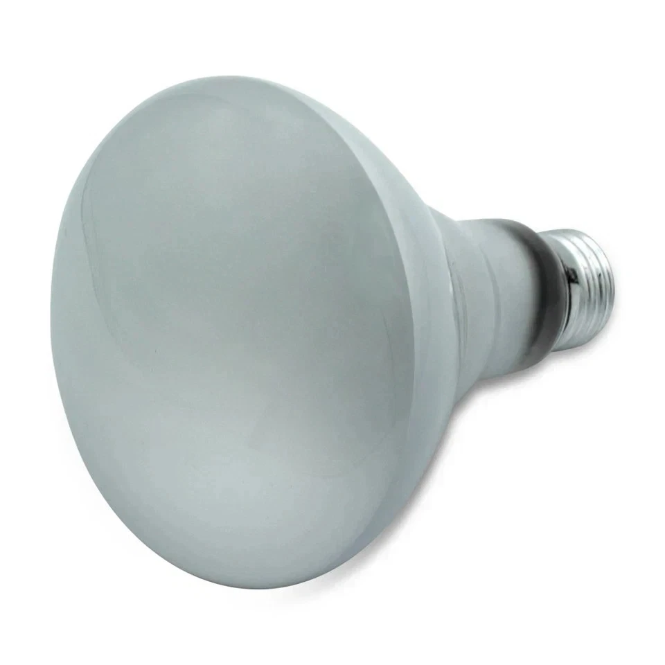 Damar Reflector BR 30 65W Indoor Flood Light Bulbs (white) Pack of 1 - Image 4 of 4