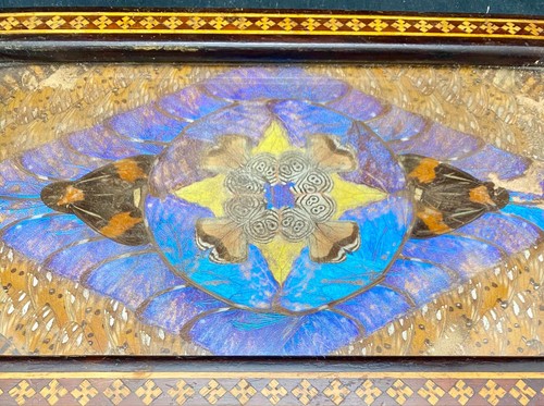 LOVELY BUTTERFLY WINGS IRIDESCENT BIG TRAY 15", GLASS & NATIVE WOOD, c1950 vg - Picture 4 of 6