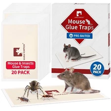 LULUCATCH Mouse Traps 20 Pack Pre-Baited Sticky Mouse Traps Indoor for Home N...