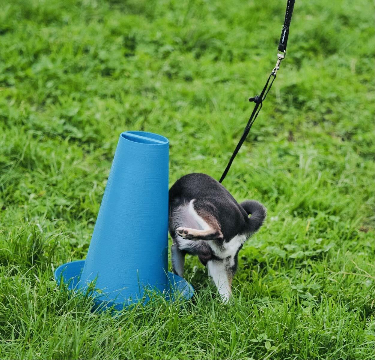 PIPPI Cono Traversine Orinatoio per Cani Maschi foto 5