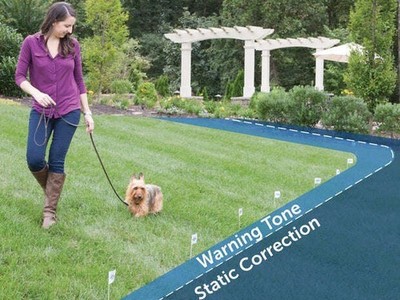 PetSafe PIG20-11041 Little Dog Deluxe In-Ground Fence 