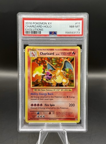 PSA 8 Charizard Holo 11/108 XY Evolutions Pokemon 2016 ENGLISH