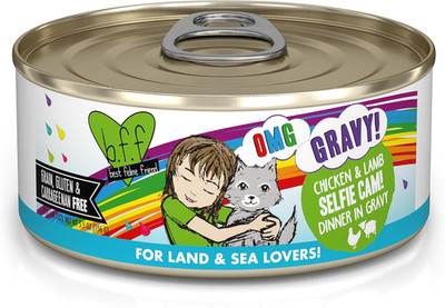 Gravy Cat Food Chicken Lamb Wet Feline Meal 5.5 Oz Cans Pack of 8