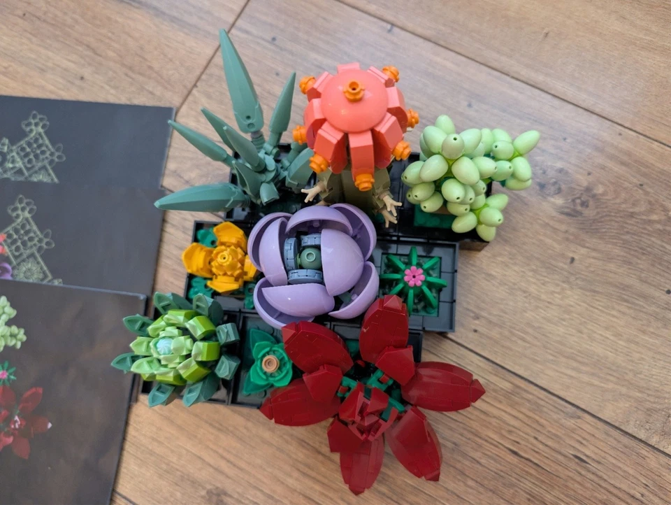 LEGO Botanicals 10309 Succulents, photo 2 of 5