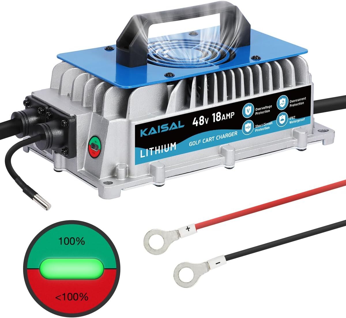 Golf Cart / Forklift Battery Charger 48v 18A 1250W Lithium Lifepo4 Battery