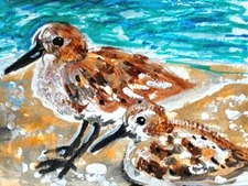ORIGINAL ACEO Painting SANDPIPER Beach Waves OCEAN BIRD Sea Shore Bird ATC ART