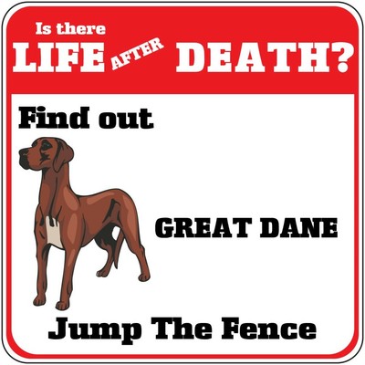 great dane jumping fence