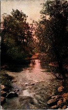 Postcard Spring - river scene through trees RMS 1909 Chi Irene & Dubuque cancel