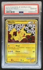 2010 Pokemon Japanese World Pikachu Polish Holo PSA 10 GEM MINT