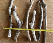 6 CHUNKY DRIFTWOOD PIECES Sea Wood Art Craft Branch Stick Display Fish Reptile 