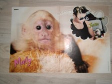 Justin Bieber & Bring me the Horizon Poster Sammlung Oli Sykes Gr. M