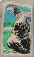 Godzilla Anguirus 3 of Clubs Kaiju Monster Menko Card