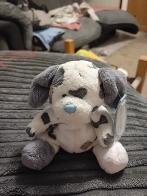 Carte Blanche Me To You My Blue Nosed Friends Splodge The Dalmation, Brandneu mit Etikett