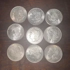 Morgan Silver Dollars, Lot of 9 mixed dates, circulated or better, ungraded, 90%