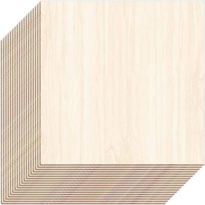 Unfinished Wood Pieces,18 Pack Basswood Sheets 1/16 Thin Plywood Wood Sheets for