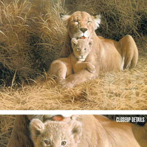 32W"x24H" A MOTHER’S PRIDE by MICHAEL FRYE -FEMALE LIONESS CUB CHOICES of CANVAS - Picture 1 of 9