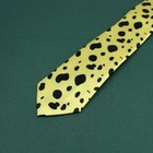 Foto 6 di 7
