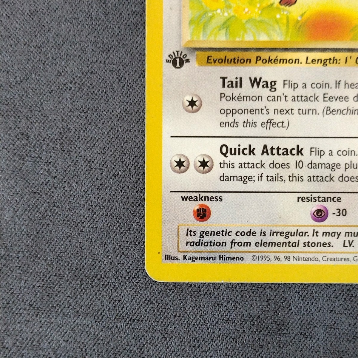 POKEMON CARD EEVEE 51/64 1ST EDITION JUNGLE TCG VINTAGE | eBay