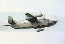 Beriev Be-12PS Chaika (04) - Navy - Ukraine -  Original Photo