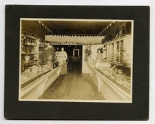  on The Hot Collector