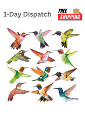 Petallo Hummingbird Window Clings 12 Pack Bird Collision Prevention Decals