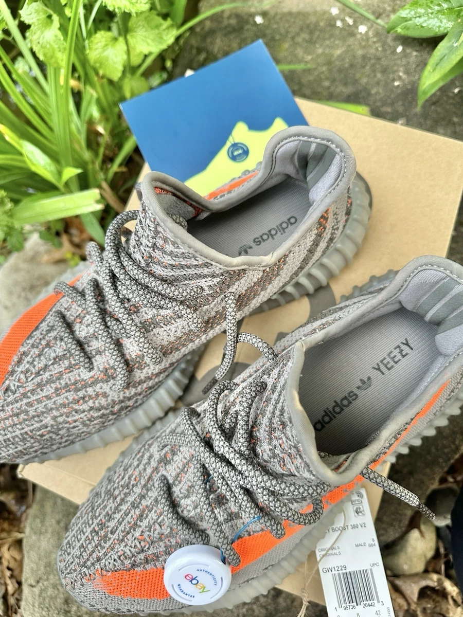 Yeezy Boost 350 V2 Beluga for Sale - Authenticity Guaranteed - eBay