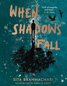When Shadows Fall von Brahmachari, Sita | Buch | Zustand sehr gut