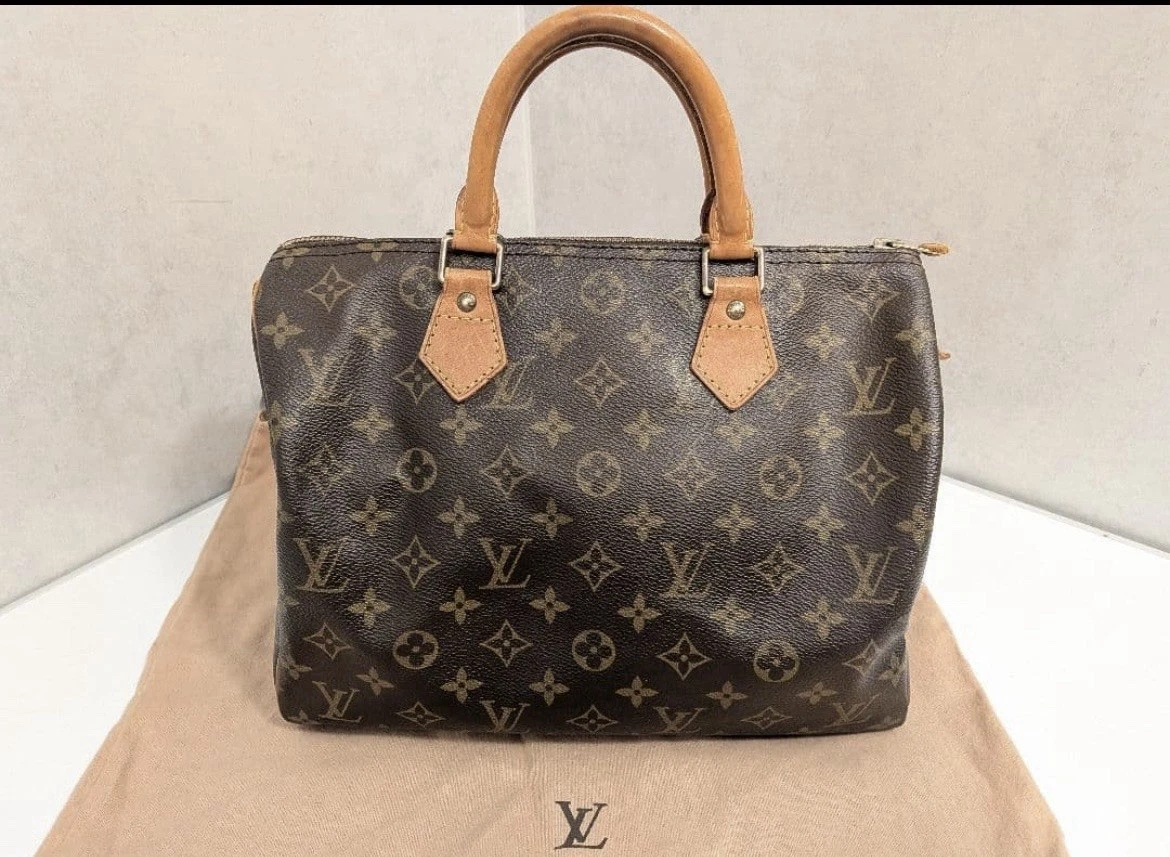 Louis Vuitton Speedy Bags for Sale - eBay