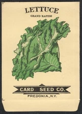 Vintage Seed Packet Empty Fredonia New York NY 1900's Vegetable Lettuce NOS