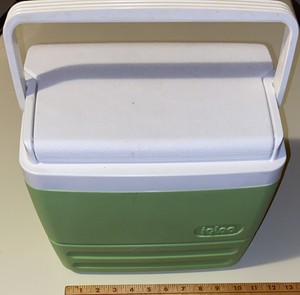 igloo flip top cooler